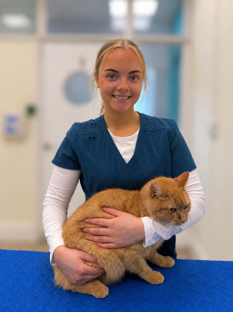 Niamh Brennan holding a ginger cat on the consult table